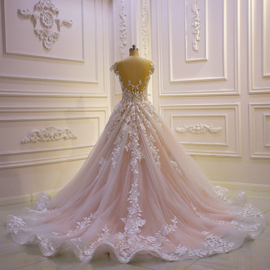 Princess Applique Lace Tulle Illusion Neck Ball Gown Wedding